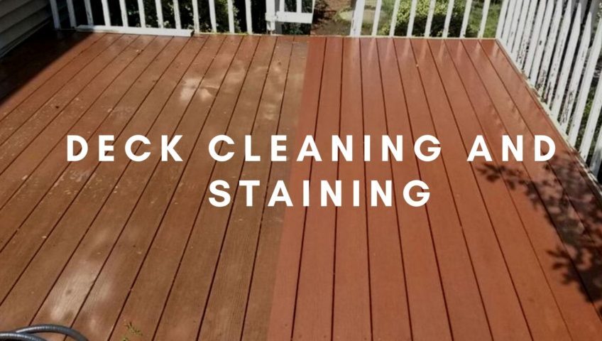 Deck Cleaning and Staining Service